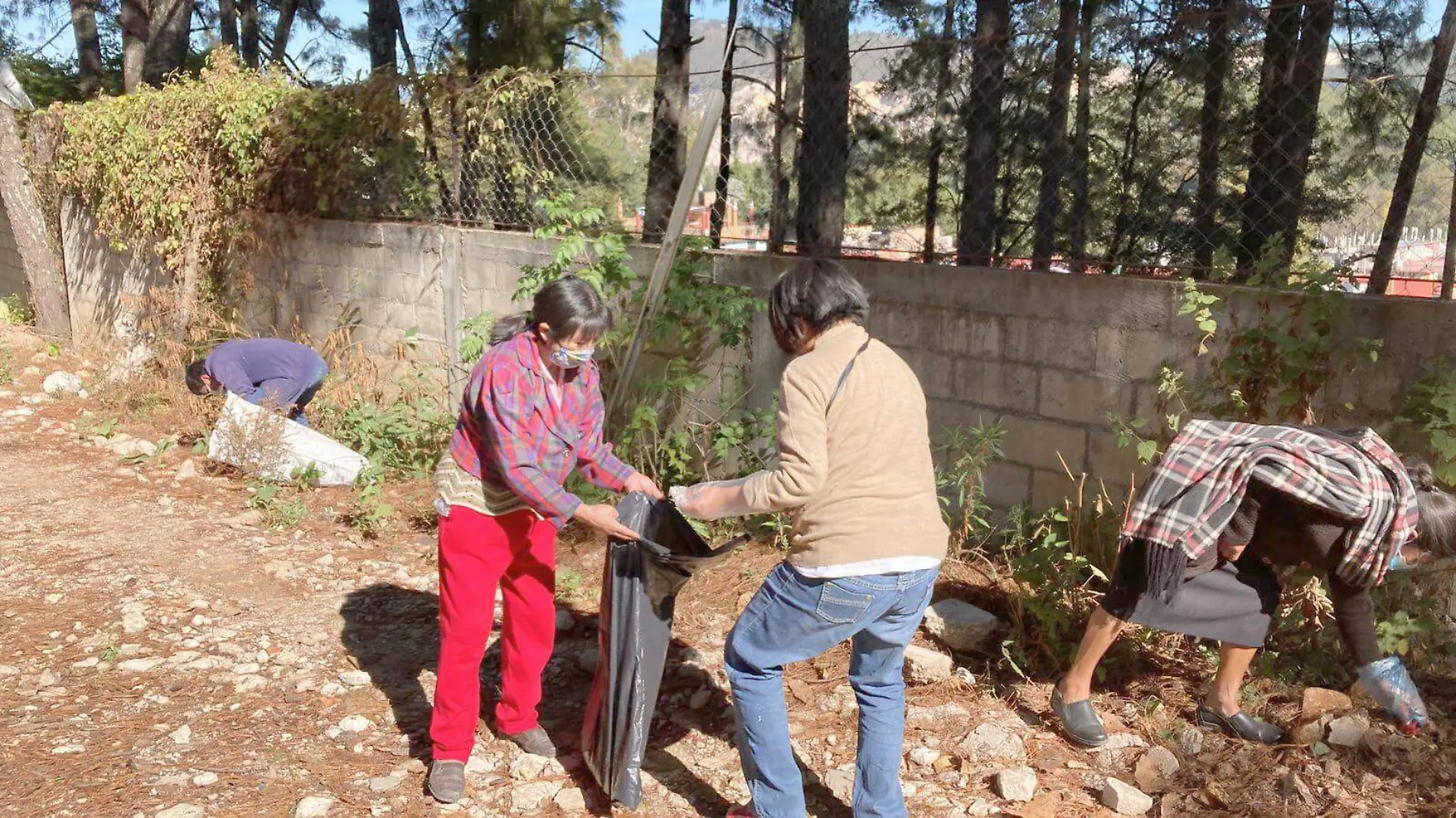 trabajos de limpieza 